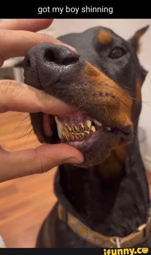 892ebda884a943e4696a080706ab819208dd18526c912266c3f949edfc4b5ef3_1