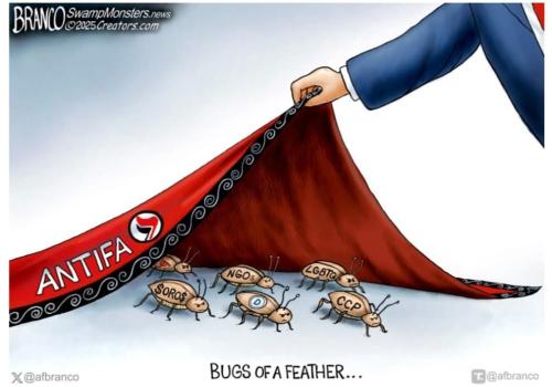 f57ac5b4-8eaf-4ff4-889b-a23885b7cfb9