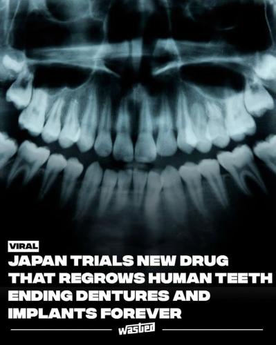 fa41c25d-8d93-4afe-a329-a2e1db446c7a