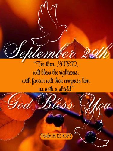 556217848_816827460851602_8113160144770890655_n