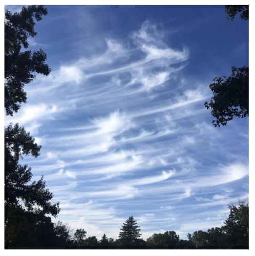 35a2e7b1-9e91-45dc-9346-991e3fa56f47