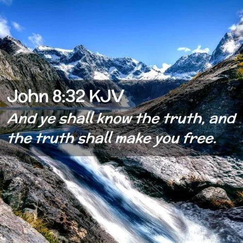 299fa8a2-590f-4af0-af7a-f272399e1226