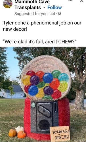 Screenshot_20250920_135717_Gallery