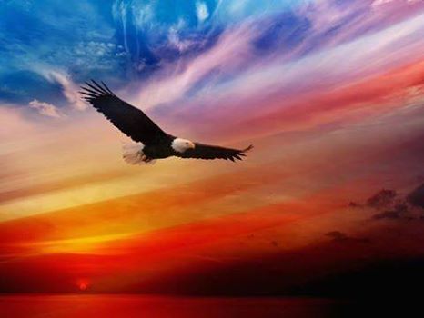 Patriot_Eagle_Sky_flag