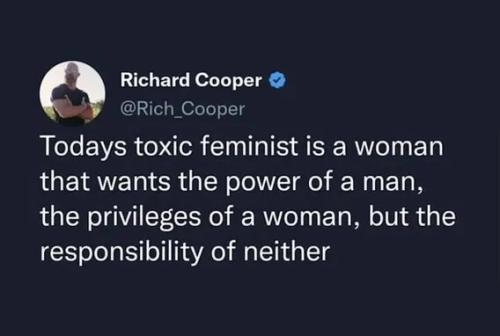 toxic-feminist