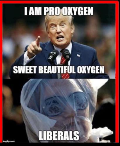 4ad6d0b3e5da1f884496a53dd6a4baf7_1024