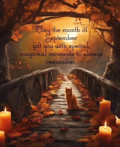 549446773_10163282299134717_5211848792891684563_n