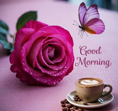 091625 - GM coffee & butterfly