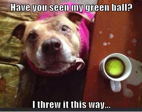 quiet-coffee-time-is-over