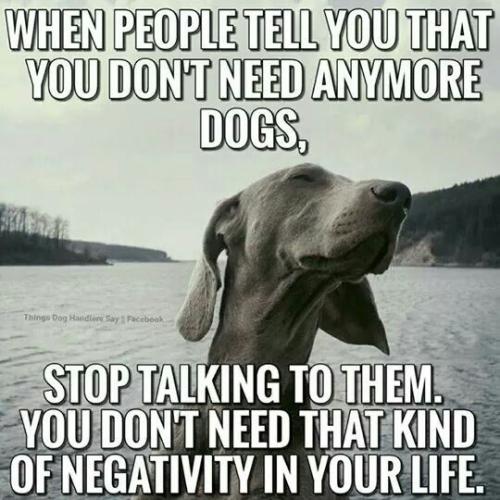 6662b9cb142d647087ae2618b175217a