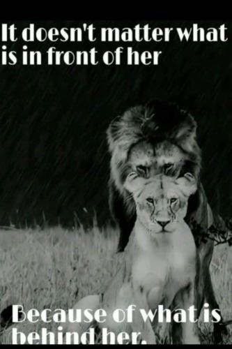 Screenshot_20250918_070439_Gallery