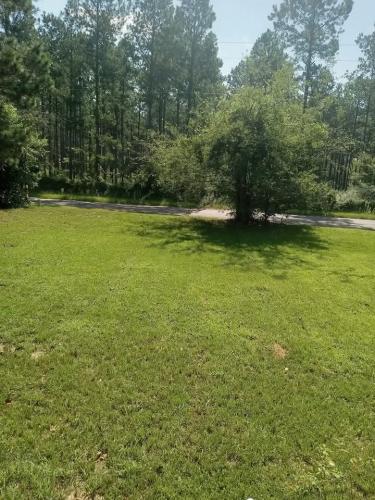 FB_IMG_1739808548019