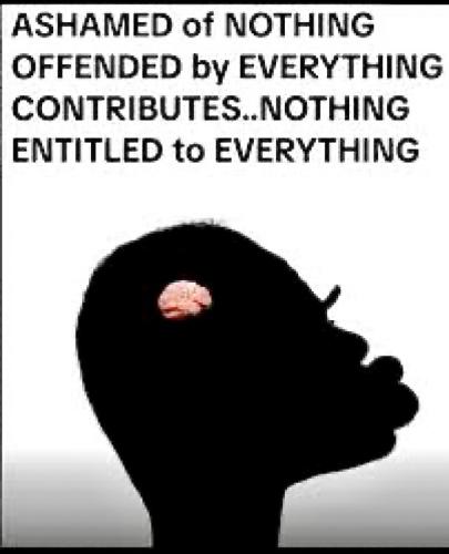 IMG_20250927_144529_667