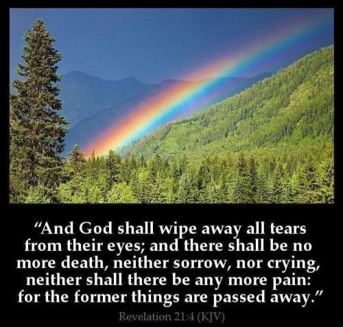 aa00ba42-ca14-49e2-8cdb-240ac0c878cf