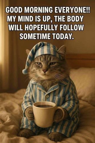 21411ea0ff403e86e15605c87bd3a49d