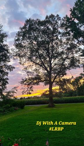 Screenshot_20250925_185136_Gallery