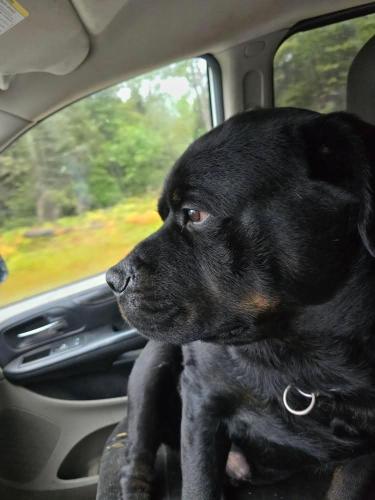 ace9c179-9b2c-49b0-86ca-d5688ea69321