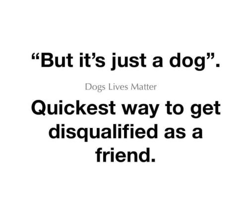 08d47416e0c3b8455c7ee07ed561d0bb