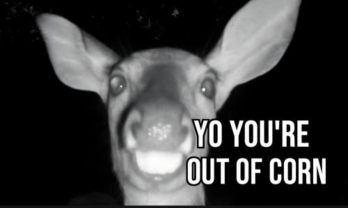 df7cebc7-d4fd-468f-b7c7-c2f1f599916b