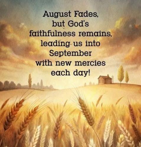 aff496e1-96da-473b-873e-9b10361eb3f7