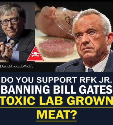 D8722902-18FC-4F0A-841E-01C2997D7CDA