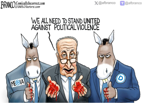 democrats promote violence