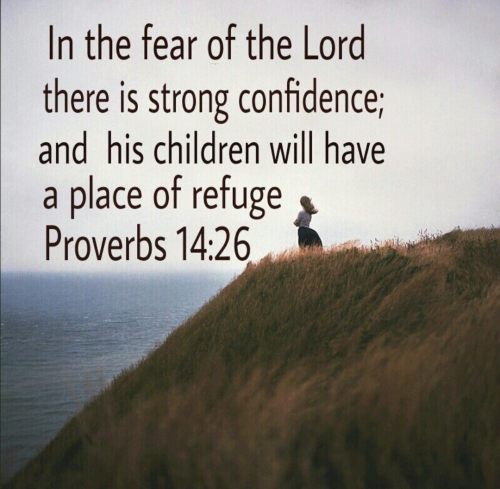 Screenshot_20250901-195121-658