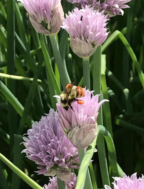 Screenshot_20250904-233959_Wimkin Free Speech Social Media