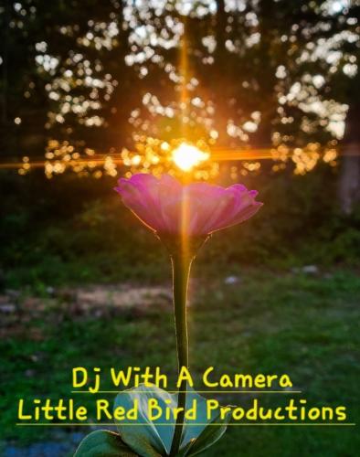 Screenshot_20250921_185325_Gallery