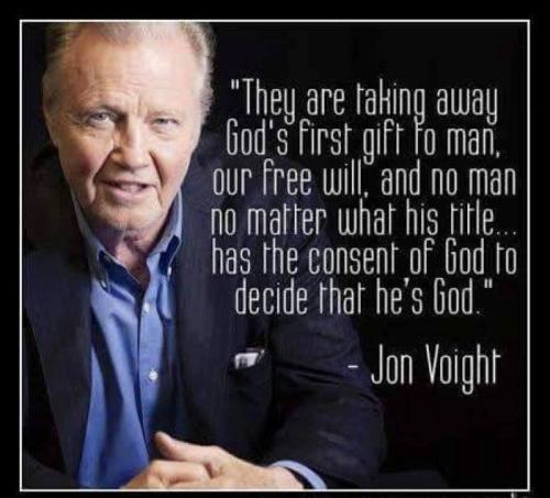 Jon Voight 2