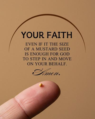 546913410_1304047424729213_147627493002865478_n