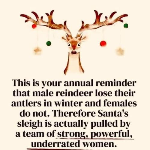 489831361_29904488622483467_3816659475312513311_n