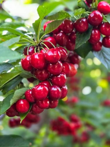 FB_IMG_1739808726158