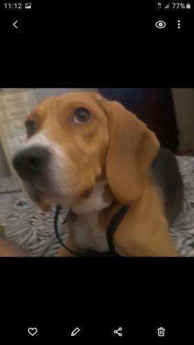 Screenshot_20250908-111207_Gallery