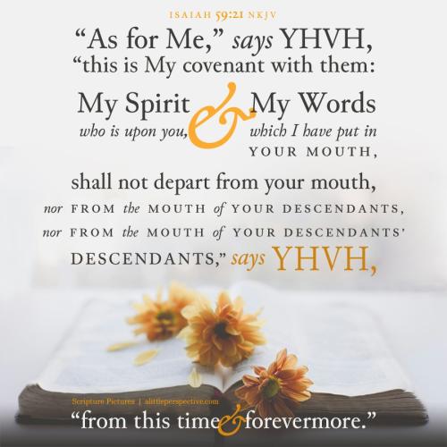 isa-59-21-NKJV-unsplash