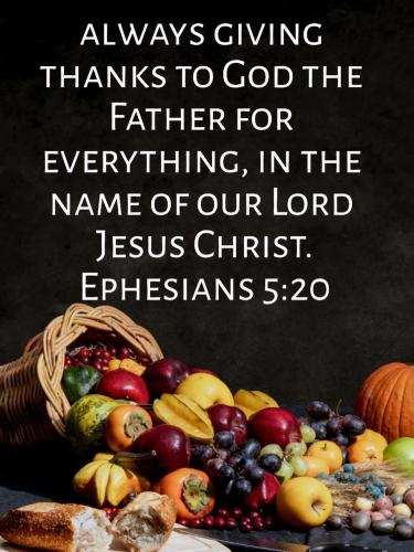 542755067_18023232713743683_4952061492041112672_n