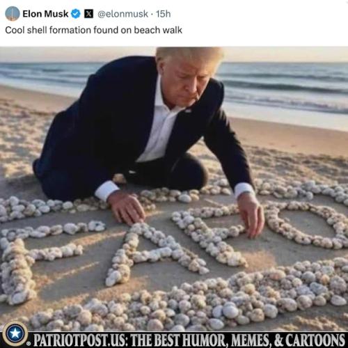 01K6ANZK377J8YCYZS1X595BRJ