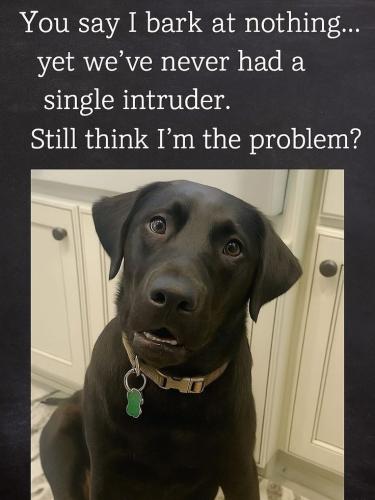 e6ad0d64317f1e04813c43f3d09a986c