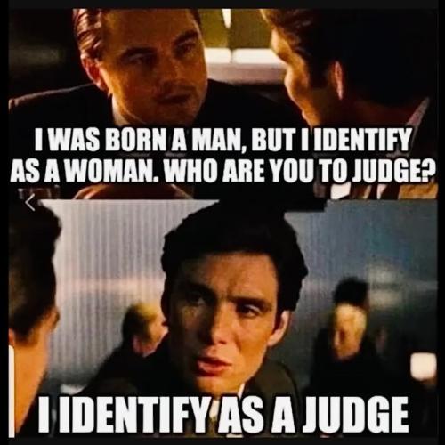 judge