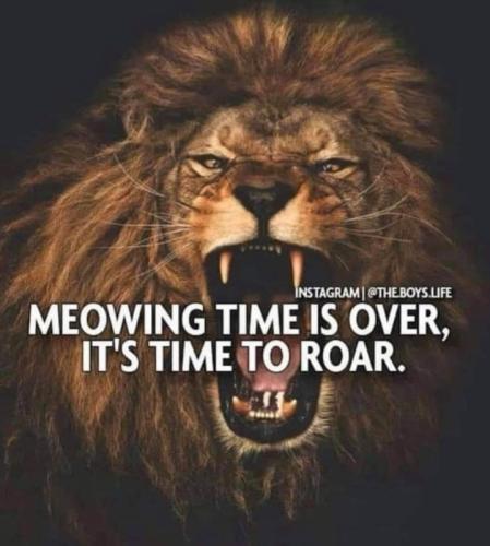 Screenshot_20250914_160258_Gallery