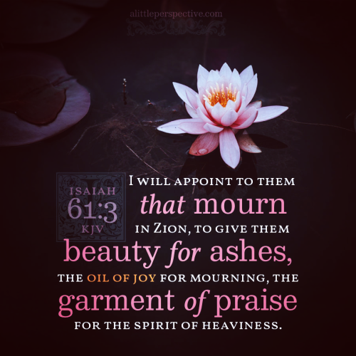 isa-61-3-KJV-unsplash