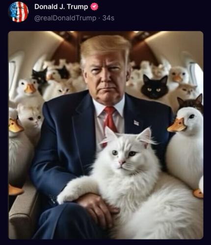 c3685416-9840-4c76-ada1-fada857d248f