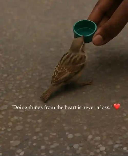 Screenshot_20250626_020605_Facebook