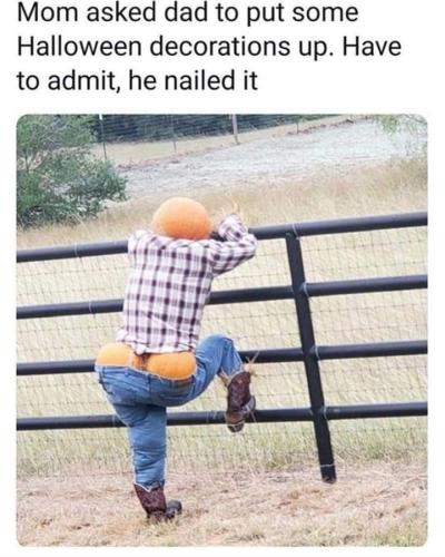 Screenshot_20250904_142429_Gallery