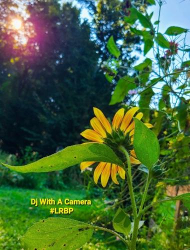 Screenshot_20250923_071204_Gallery