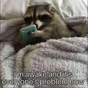 IMG_20250915_143204_188