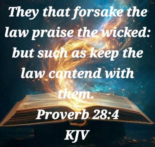 0411cdfb-72f8-44d4-a85b-7e1d1c157780