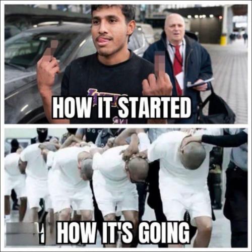 illegal immigration518