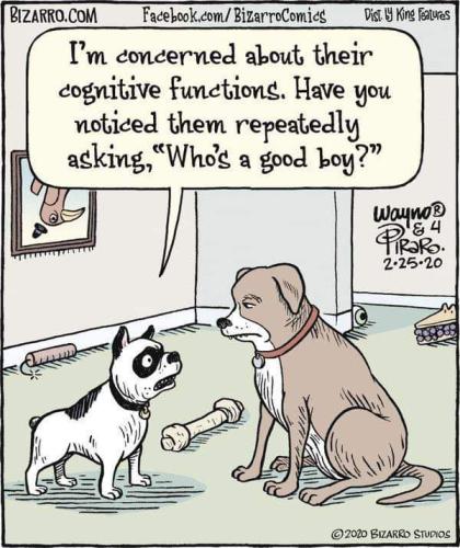 dfbfb716f58e2ab492df47cdc050964f