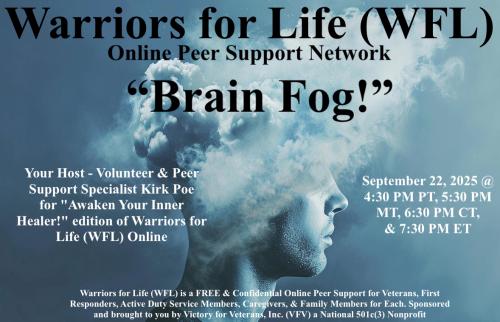 1-Brain Fog